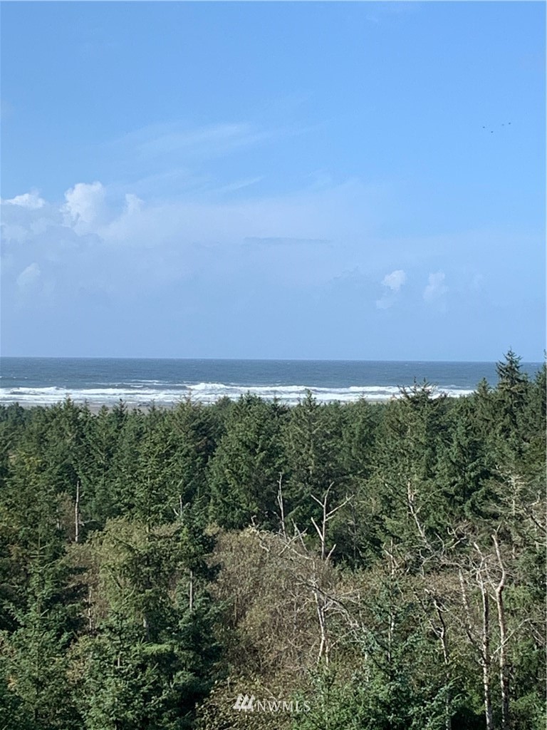 2815 Willows Road, Unit 120 Seaview, WA 98644 - Photo 1 of 25 Gallery Image 1