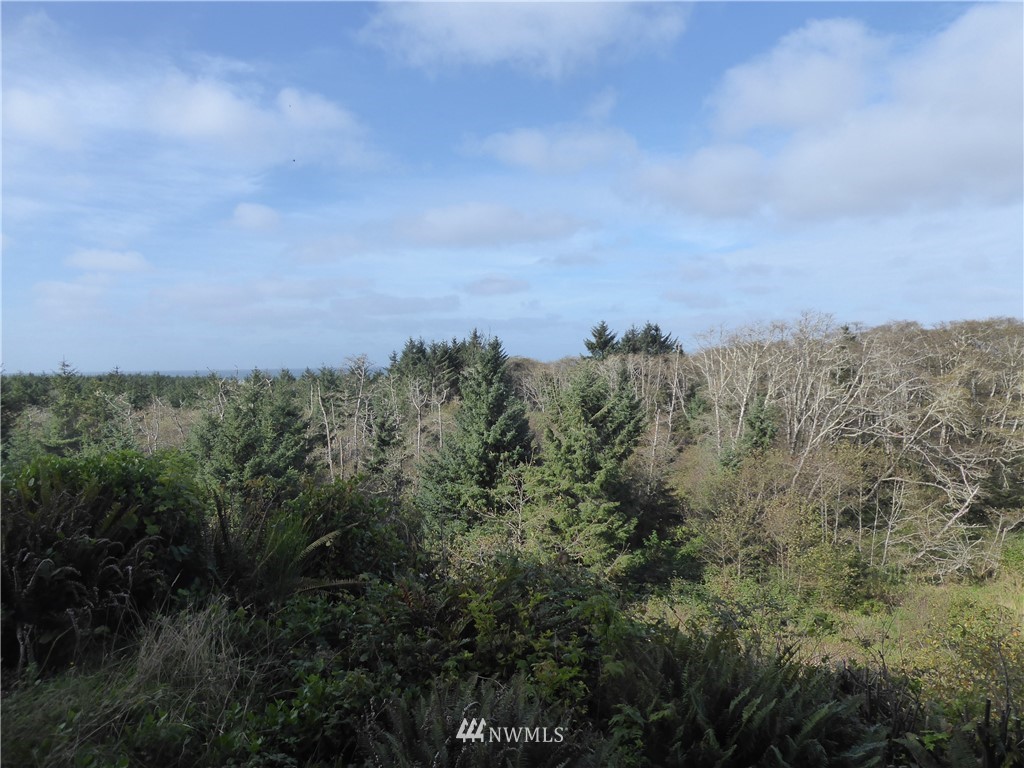 2815 Willows Road, Unit 120 Seaview, WA 98644 - Photo 25 of 25 Gallery Image 25