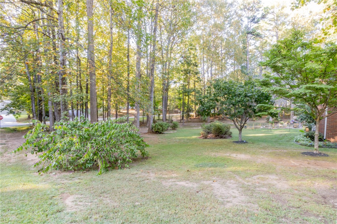 14010 Rhine Court Seneca, SC 29672 - Photo 5 of 34