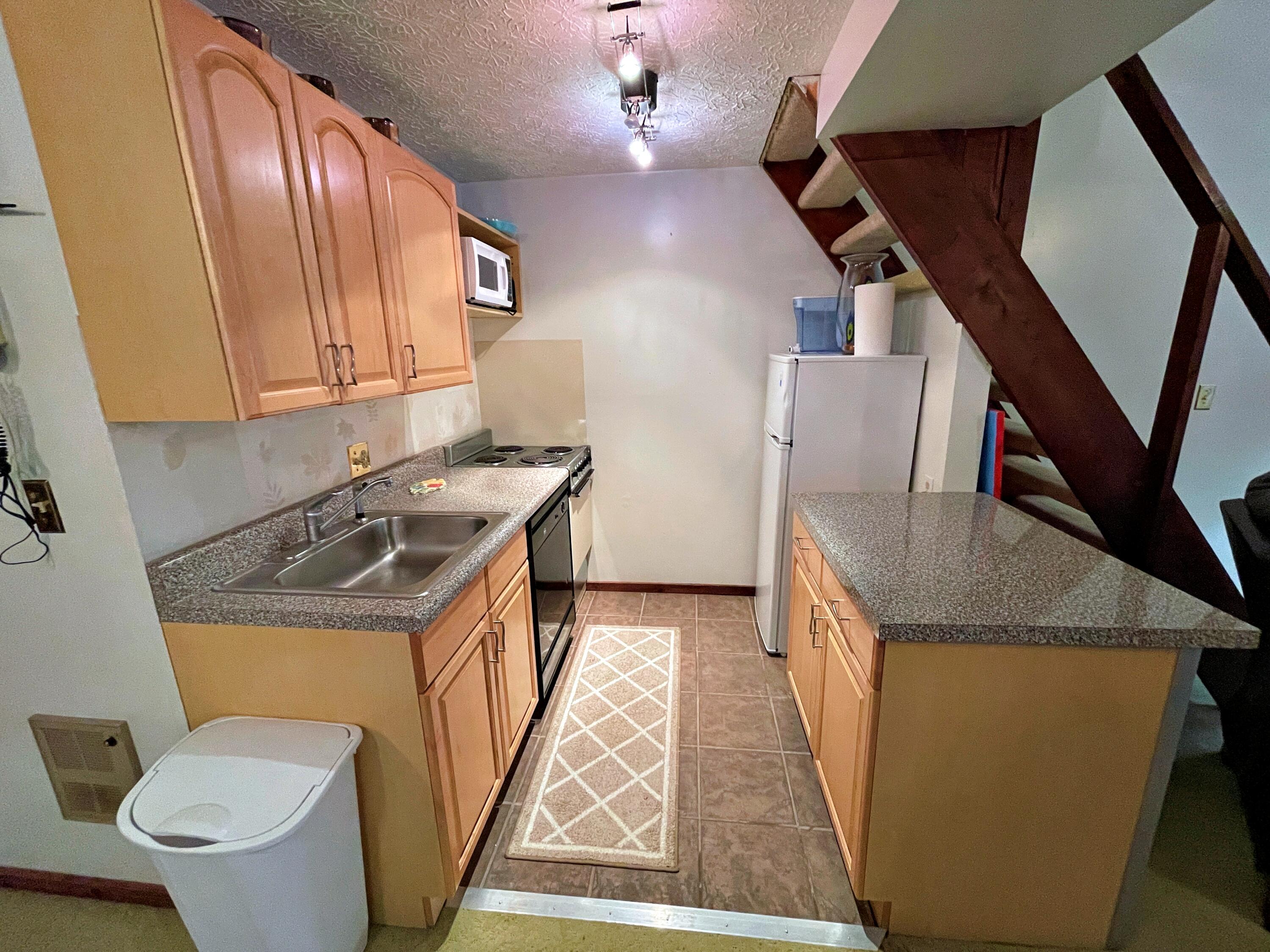 42 Ridgewood Street, Unit 57 Snowshoe, WV 26209 - Photo 5 of 17 Gallery Image 5