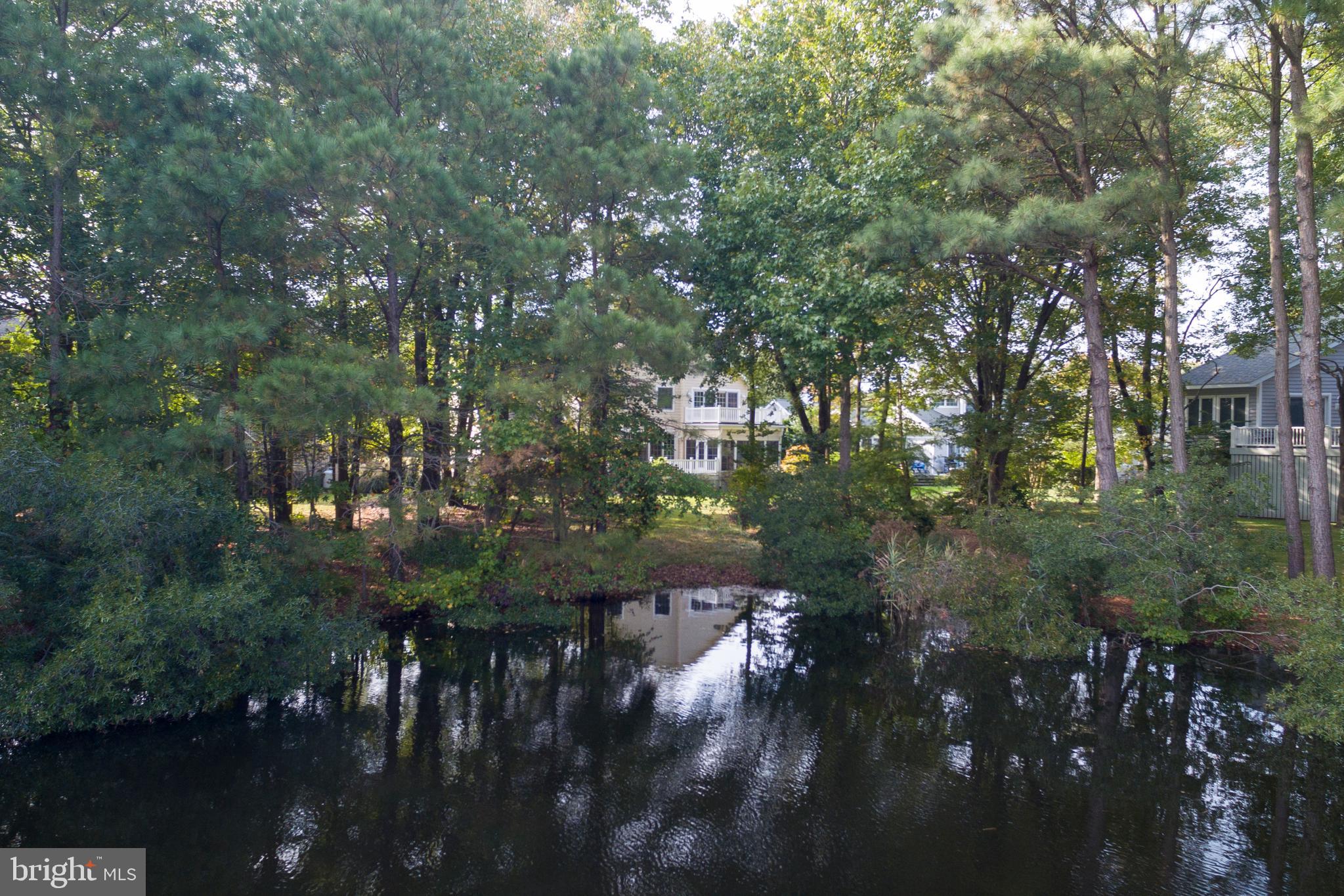609 Bethany Loop Bethany Beach, DE 19930 - Photo 9 of 41 Lush greenery and trees around the pond