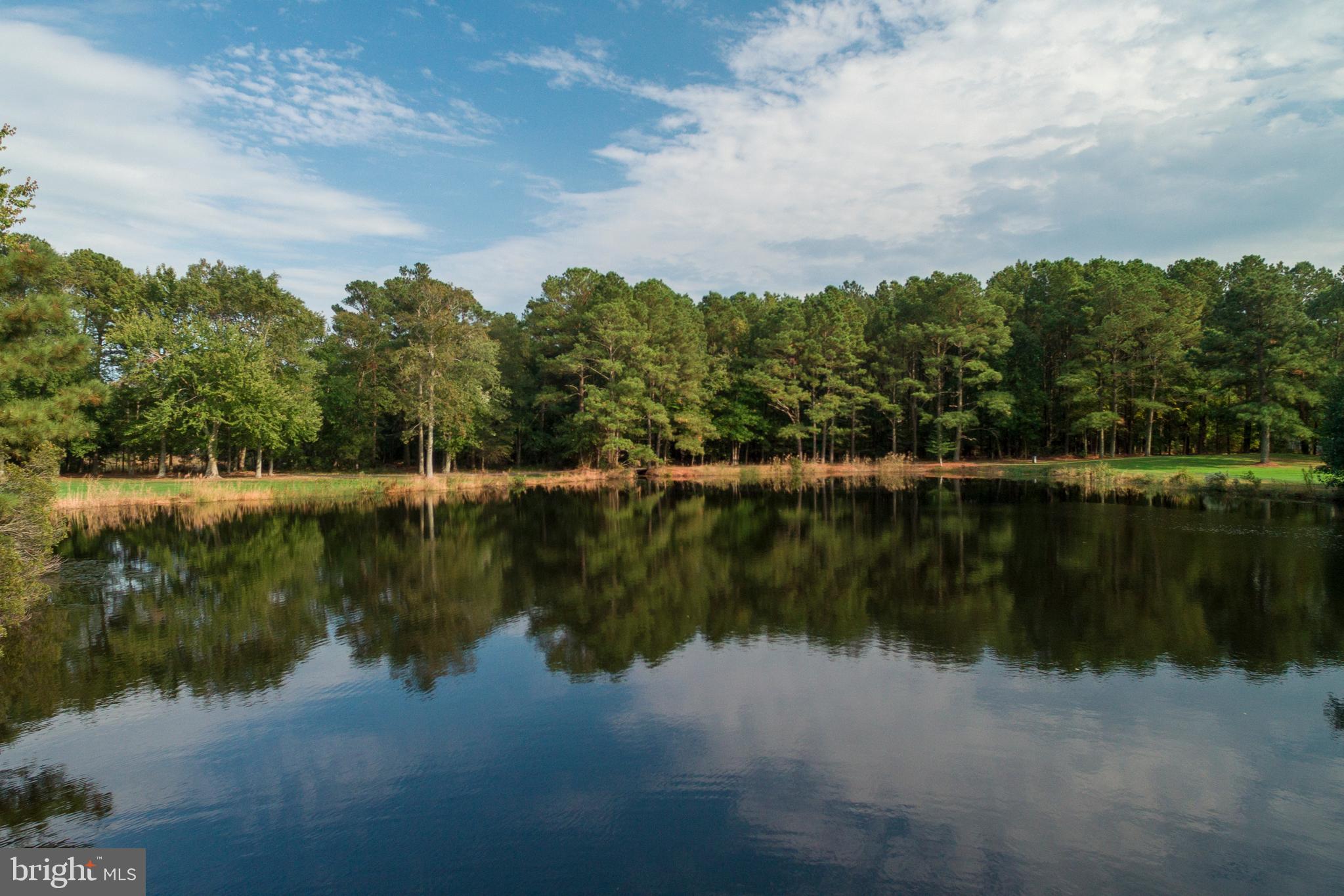 609 Bethany Loop Bethany Beach, DE 19930 - Photo 10 of 41 Mother Nature abounds around this pond