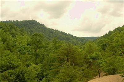 1 Umber Fork Road Campton, KY 41301 - Photo 1 of 5 GOOD TIMBER- 2 PONDS AND ALL THE PEACE A
