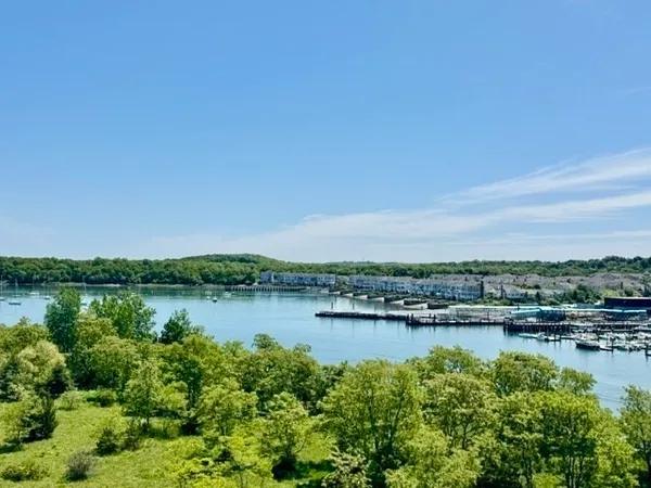 a view of a lake with houses in the back