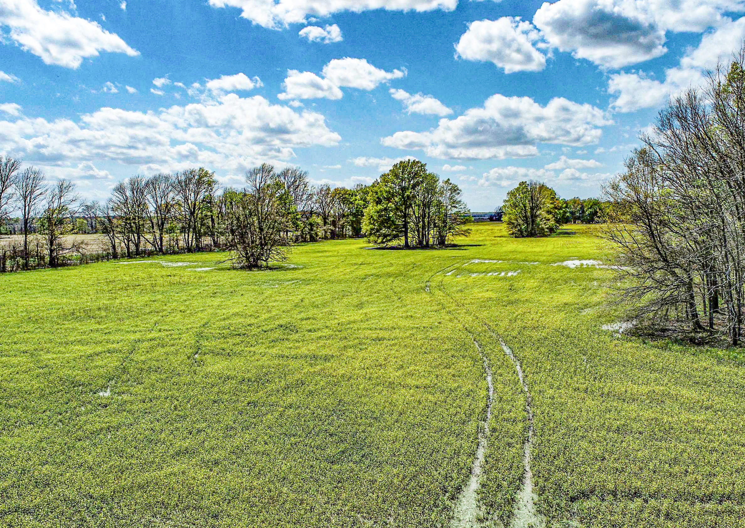 80 Sorrells Road Sledge, MS 38670 - Photo 12 of 25 sorrells01