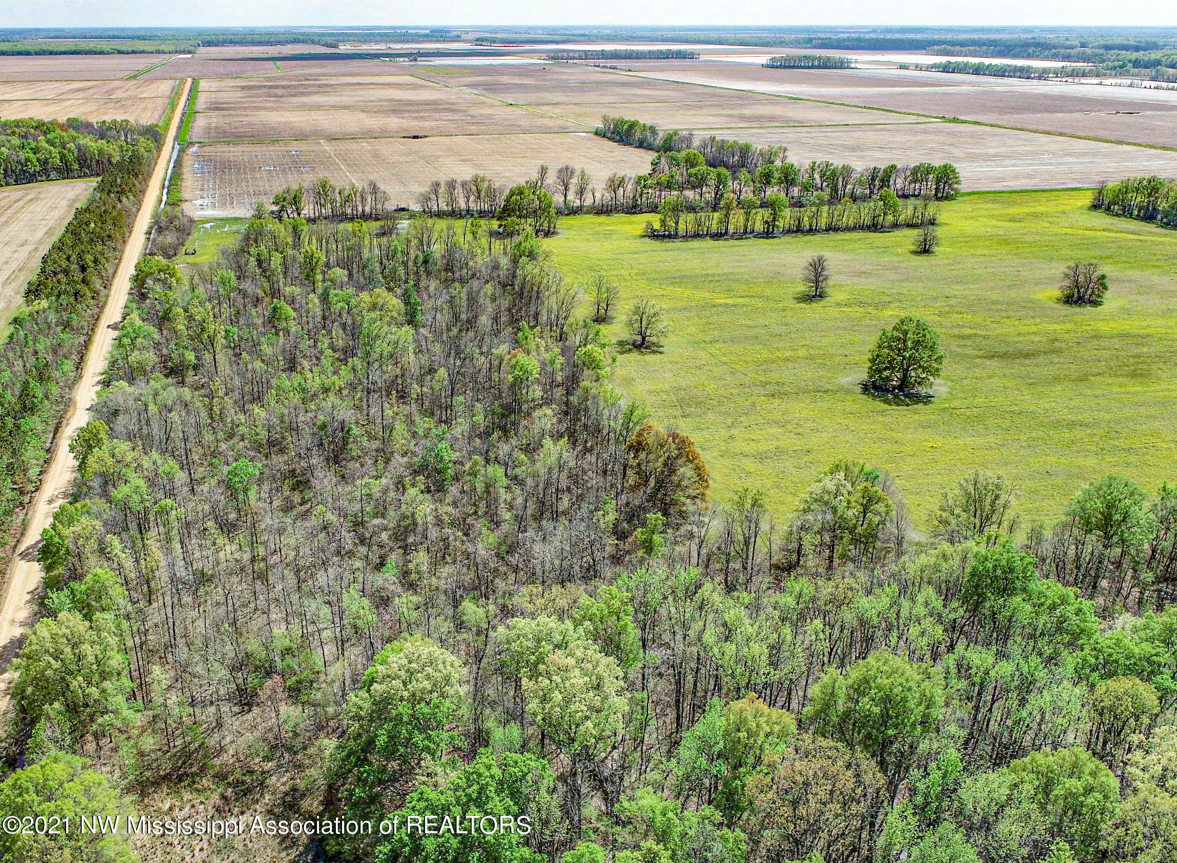 80 Sorrells Road Sledge, MS 38670 - Photo 16 of 25 sorrells08