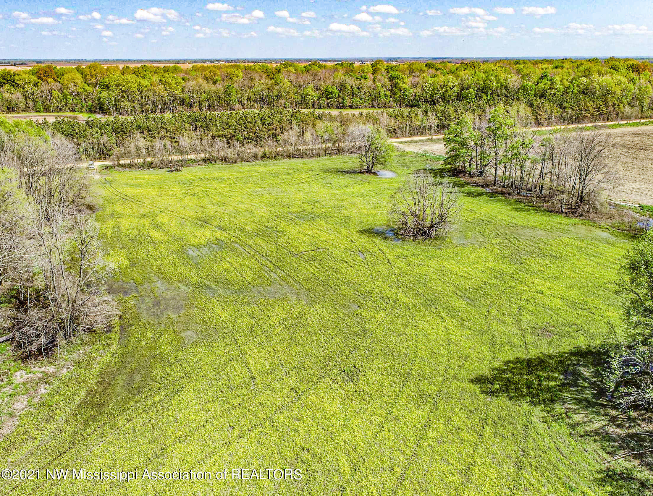 80 Sorrells Road Sledge, MS 38670 - Photo 23 of 25 sorrells18