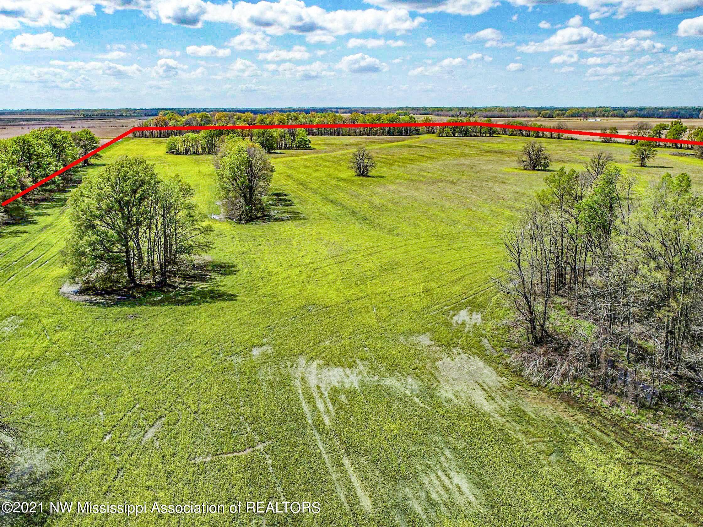 80 Sorrells Road Sledge, MS 38670 - Photo 24 of 25 sorrells19a