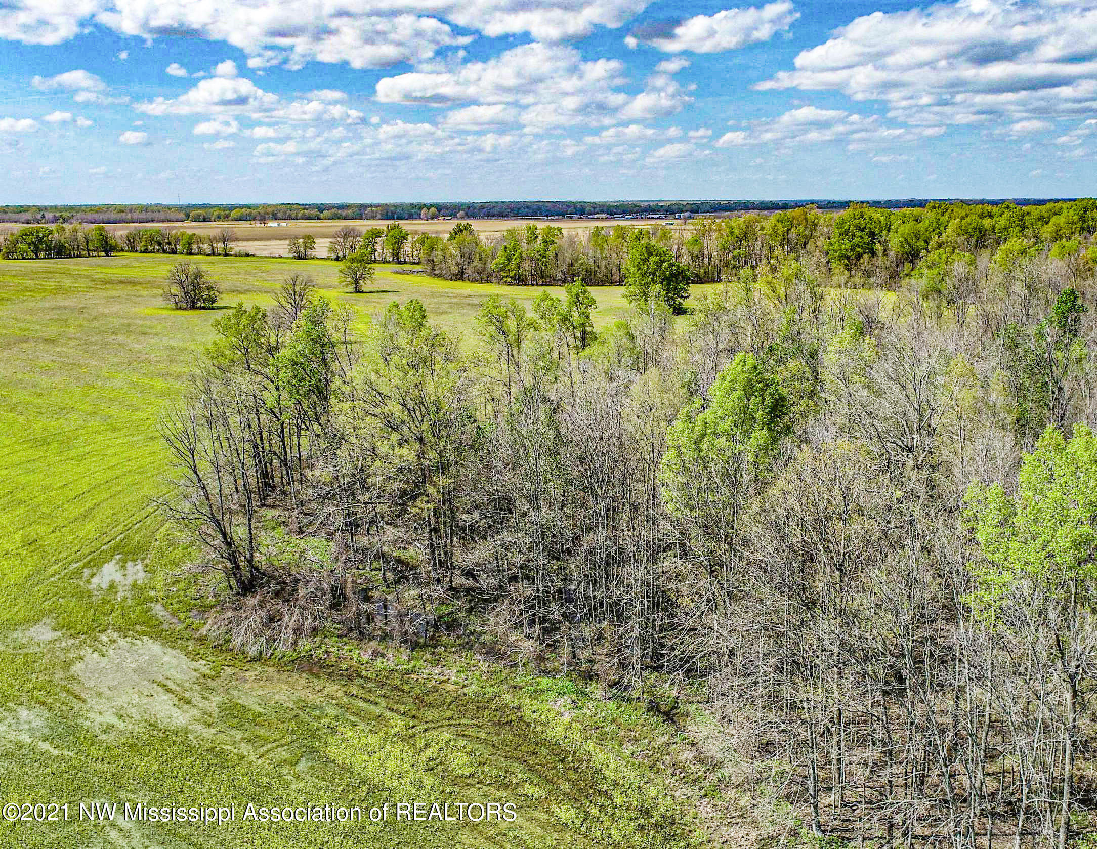 80 Sorrells Road Sledge, MS 38670 - Photo 25 of 25 sorrells20
