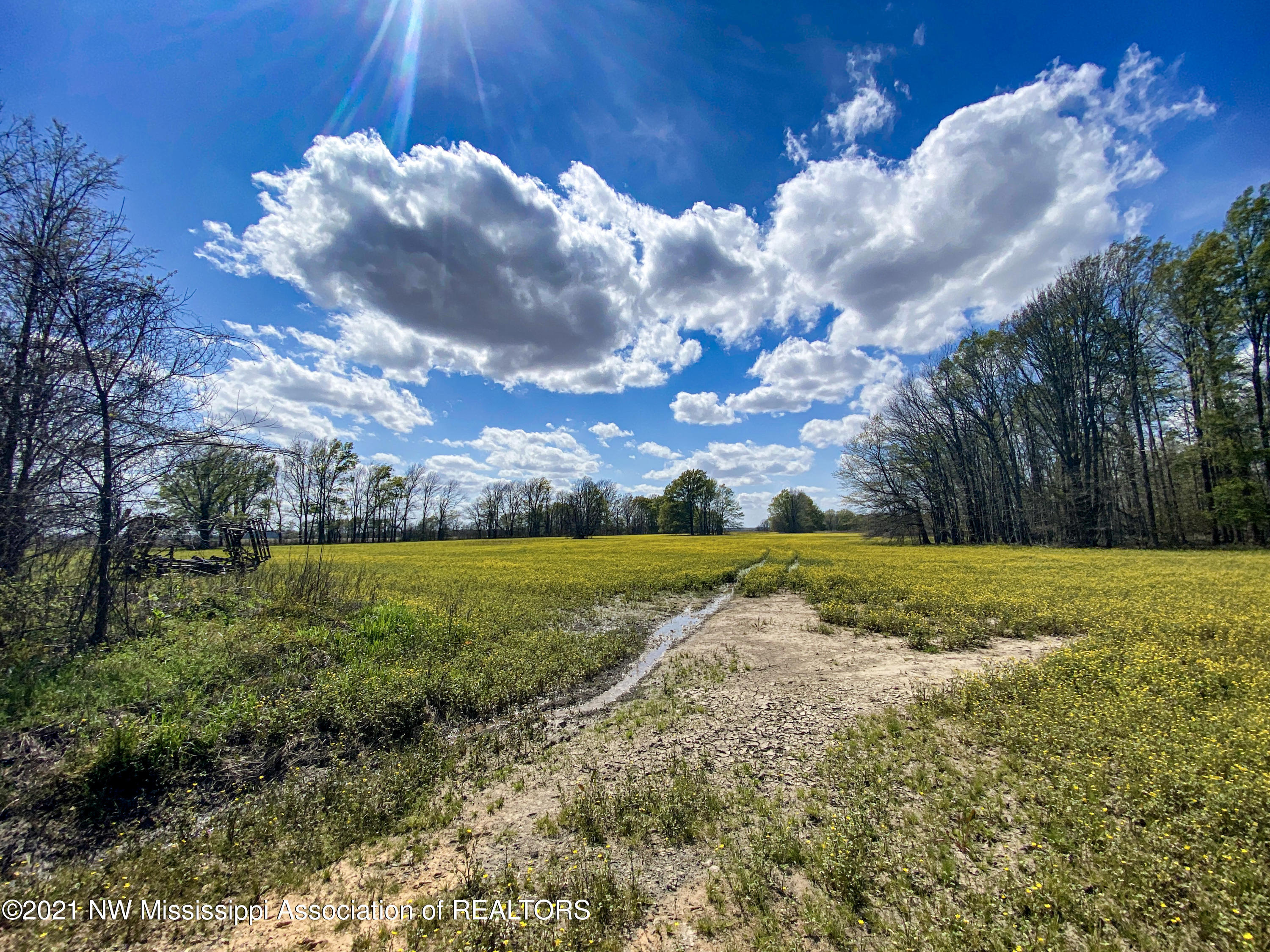 80 Sorrells Road Sledge, MS 38670 - Photo 10 of 25 sorrells1.12