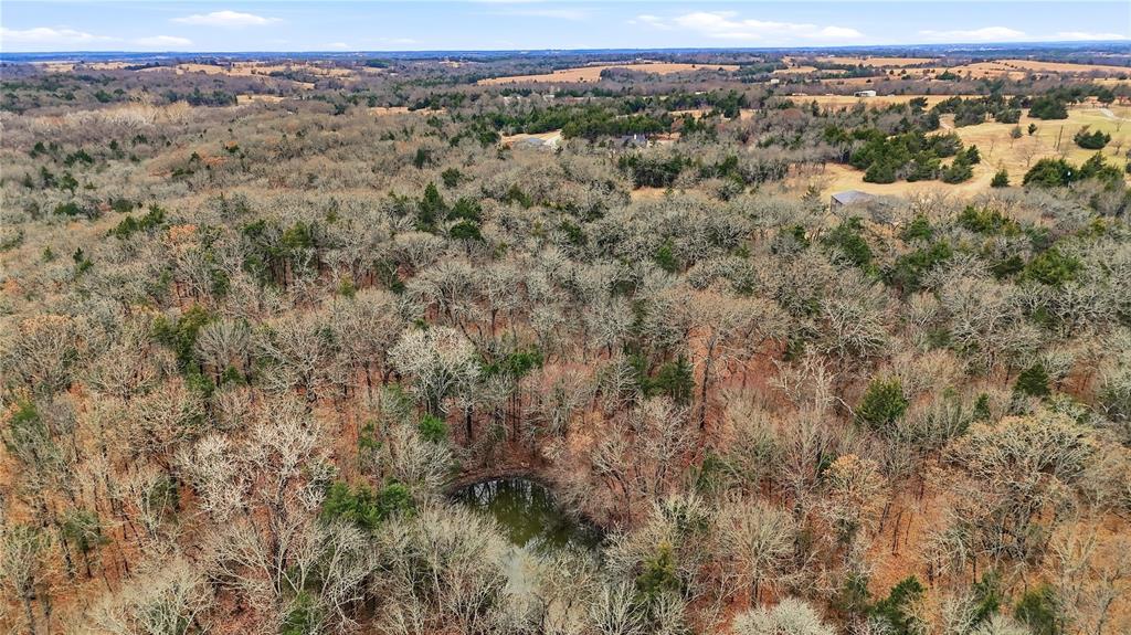 1807 Pink Hill Road Bells, TX 75414 - Photo 30 of 31 a view of a city with lush green forest