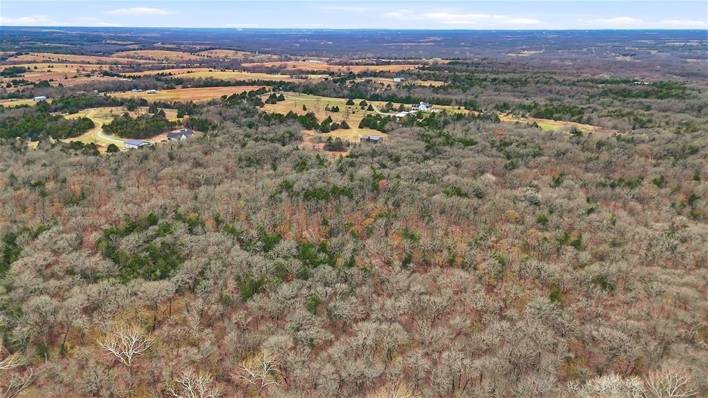 1807 Pink Hill Road Bells, TX 75414 - Photo 31 of 31 a view of a city with mountain