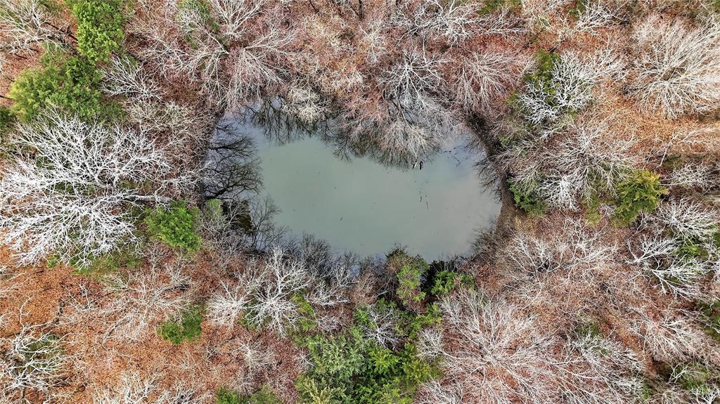 1807 Pink Hill Road Bells, TX 75414 - Photo 8 of 31 a view of a lake with a forest