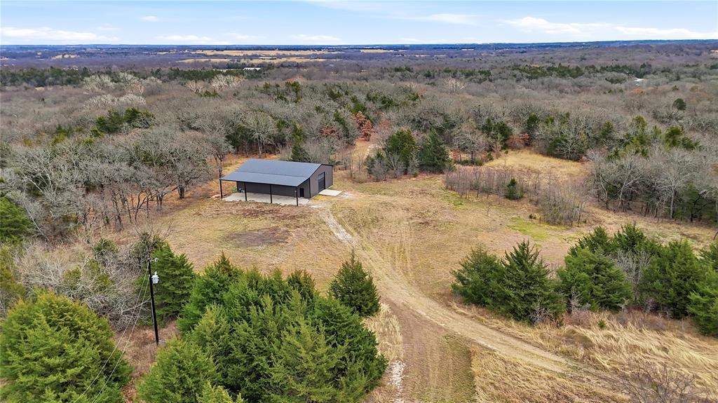 1807 Pink Hill Road Bells, TX 75414 - Photo 9 of 31 a view of a dry yard with trees