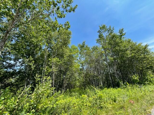 Lot 9 Wilcox Road Lubec, ME 04652 - Photo 12 of 29 IMG_5533