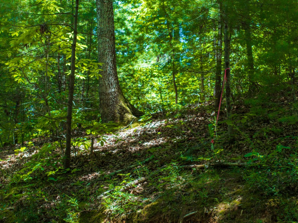0 McGhee Road Greenback, TN 37742 - Photo 39 of 40