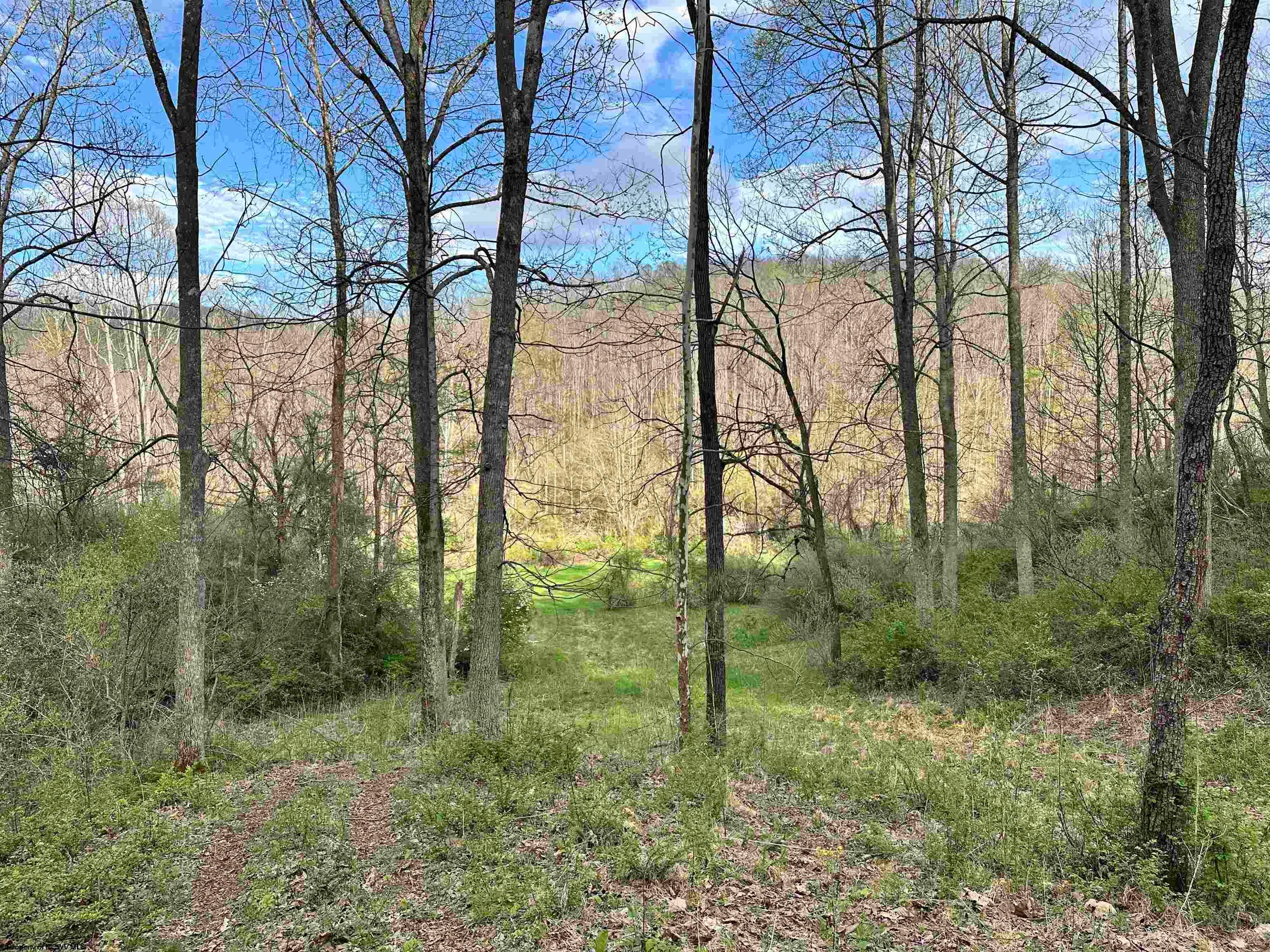 5601 Clover Fork Road Orlando, WV 26412 - Photo 30 of 44 Gallery Image 30