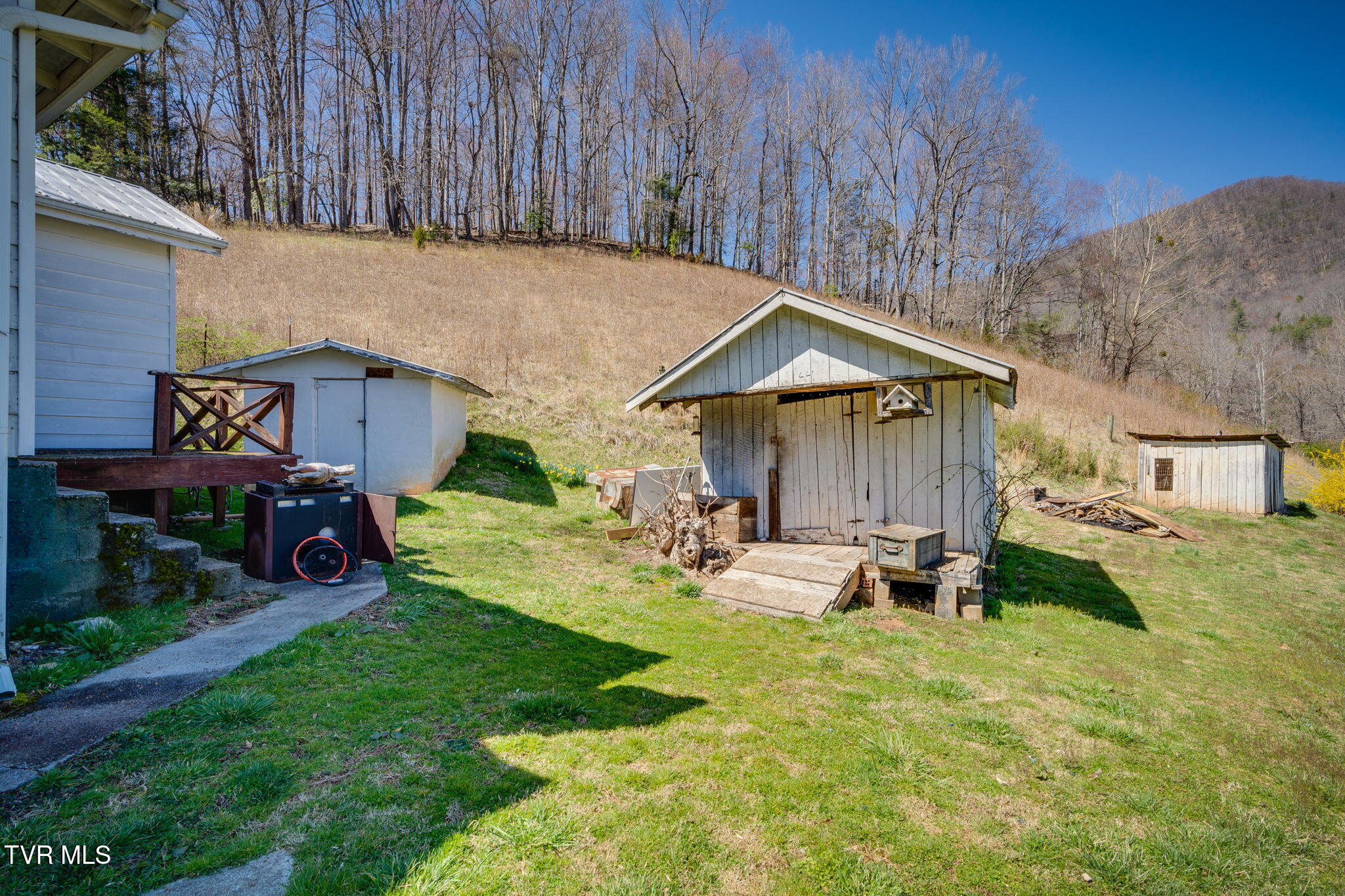 501 Polly Erwin Road Erwin, TN 37650 - Photo 5 of 40 005