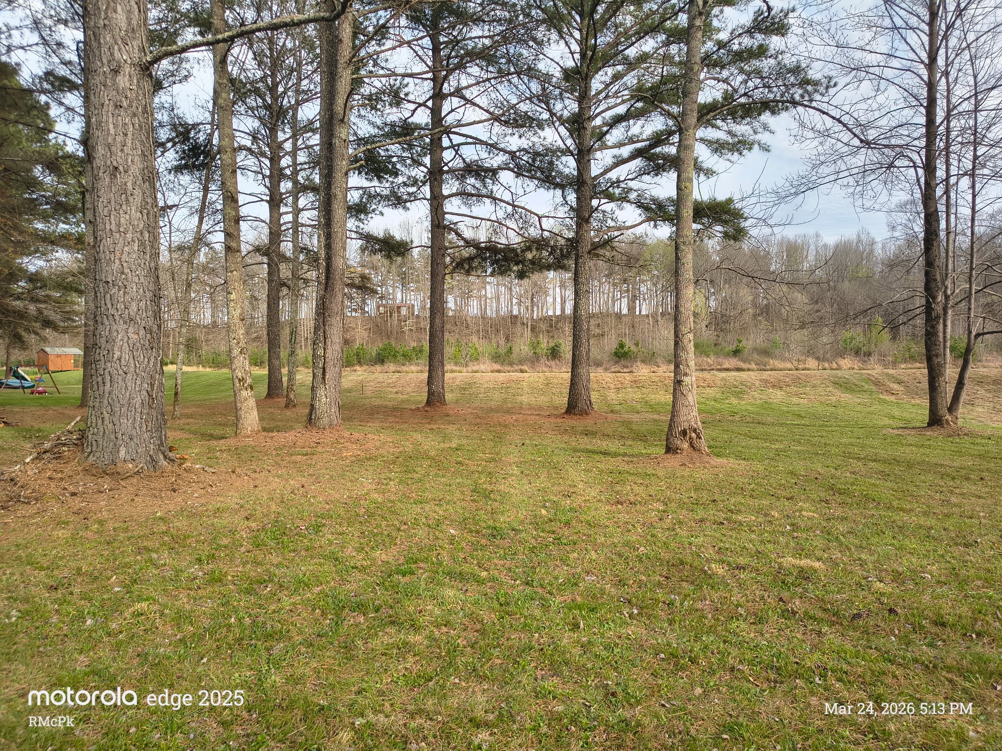169 Barnes Lake Road Hohenwald, TN 38462 - Photo 1 of 7