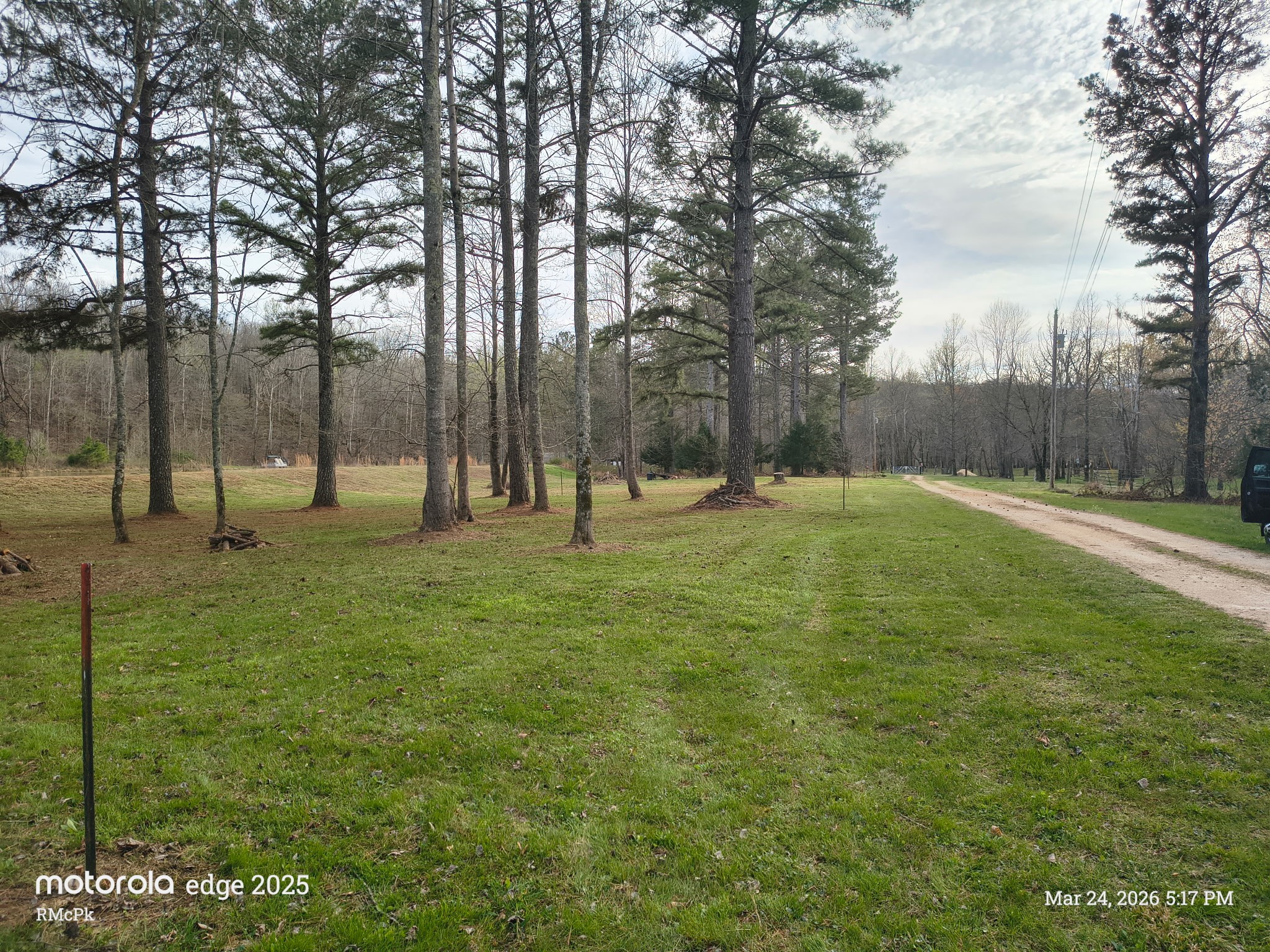 169 Barnes Lake Road Hohenwald, TN 38462 - Photo 2 of 7