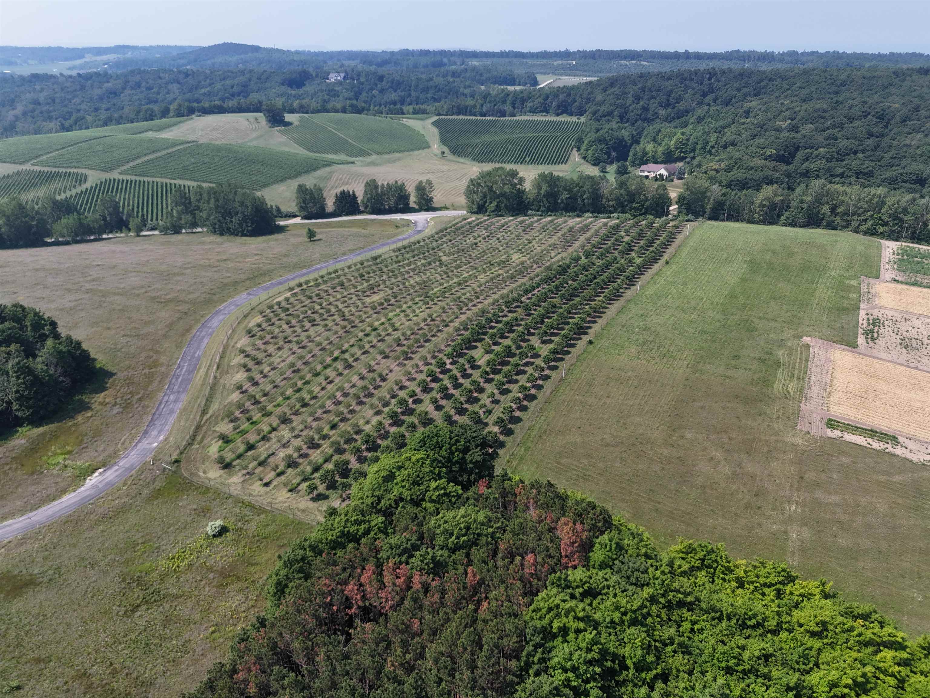 V/l North Matheson Road Northport, MI 49670 - Photo 2 of 11