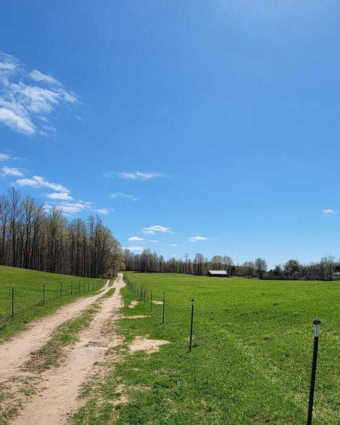 7909 11 Mile Road Bear Lake, MI 49614 - Photo 27 of 35 19100