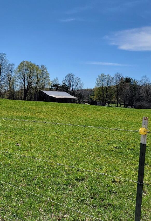 7909 11 Mile Road Bear Lake, MI 49614 - Photo 28 of 35 19106