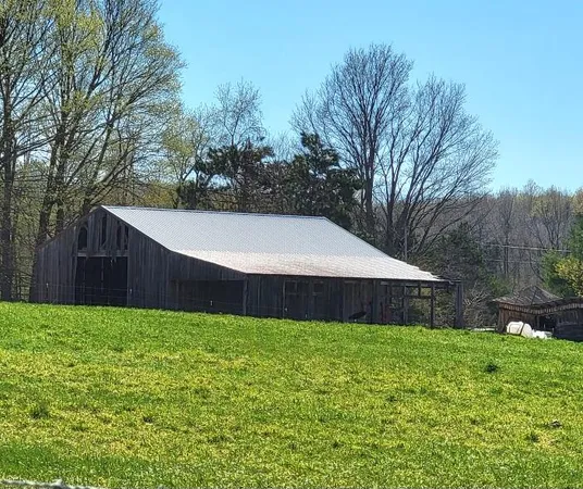 $625,000 | 7909 11 Mile Road, Bear Lake, MI 49614