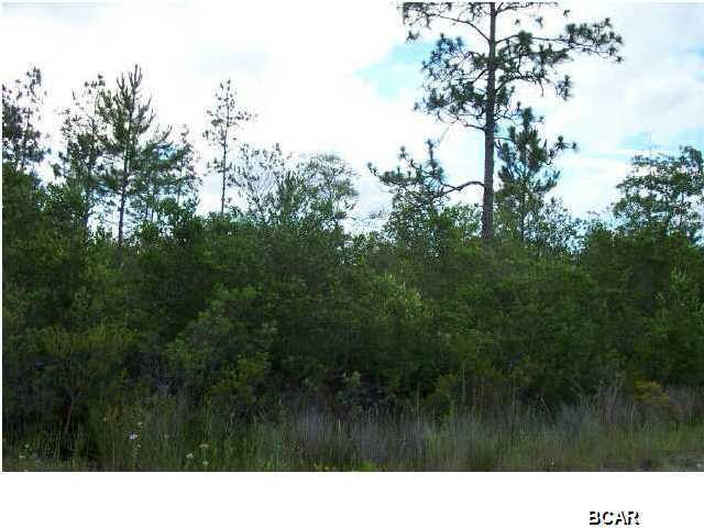 16232 Rollohome Road Fountain, FL 32438 - Photo 2 of 2 Gallery Image 2
