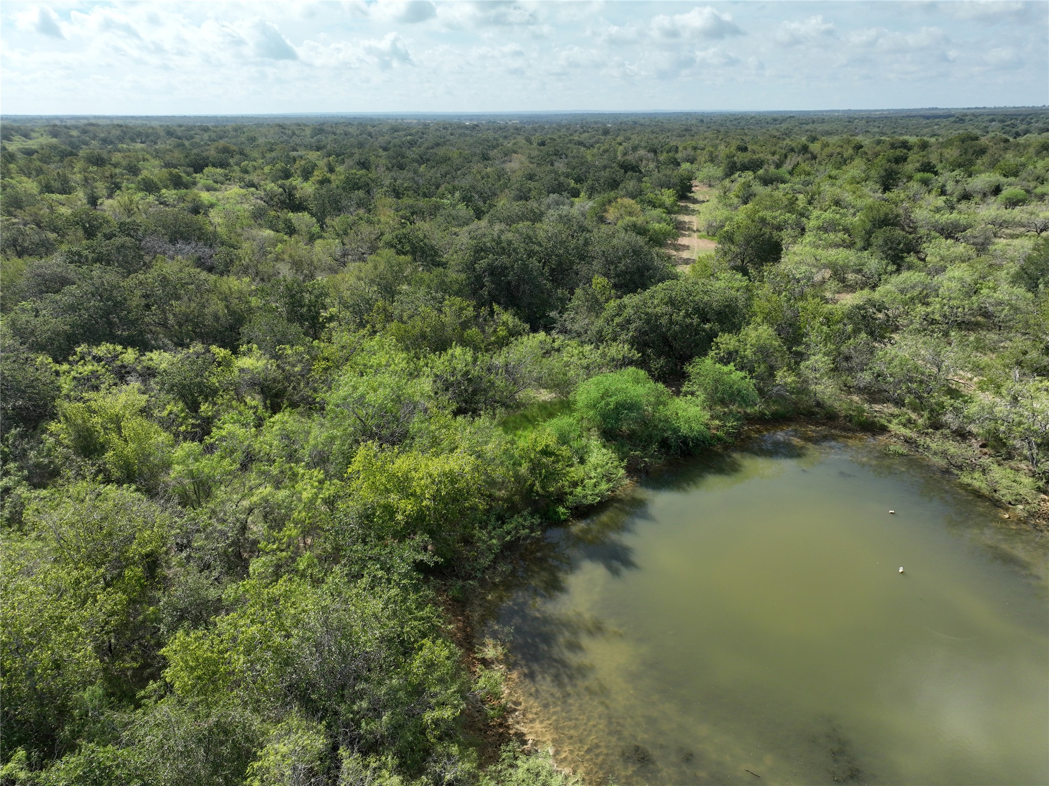 424 Rd Waelder Tx 78629 Road Waelder, TX 78959 - Photo 10 of 25 Bird's eye view of a large body of water and a heavily wooded area