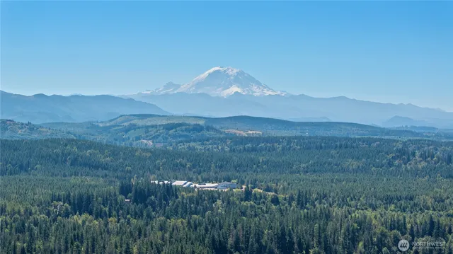 a view of a mountain in the distance in a field
