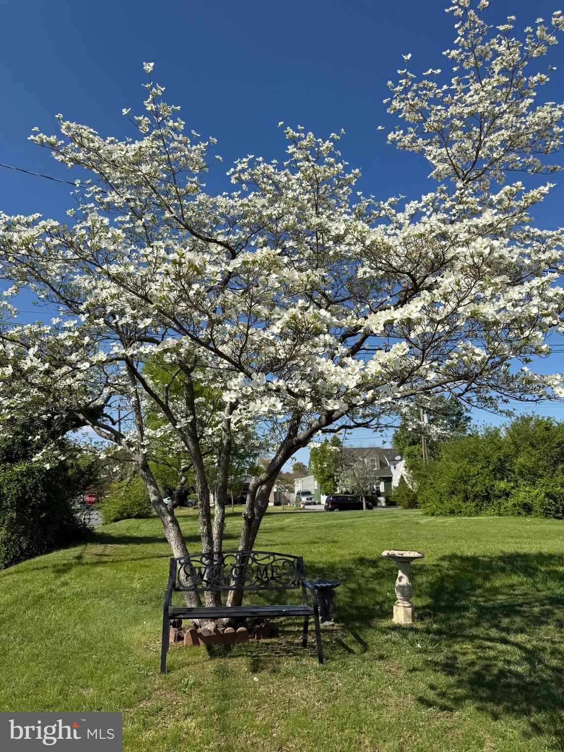 1306 Cardwell Street Fredericksburg, VA 22401 - Photo 3 of 3 a view of a park with large trees