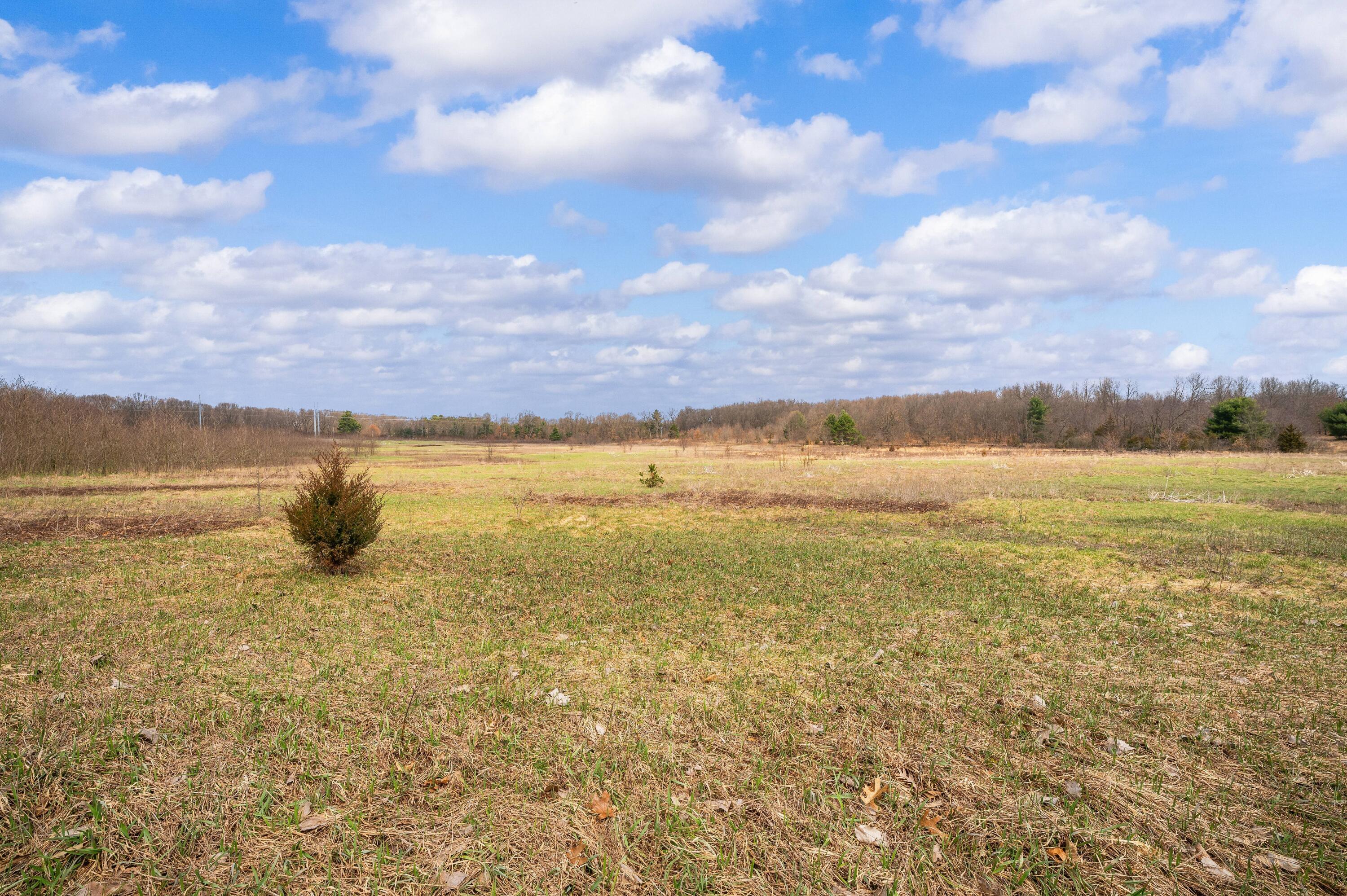 41820 County Road 352 Decatur, MI 49045 - Photo 2 of 28 08DSC_9547