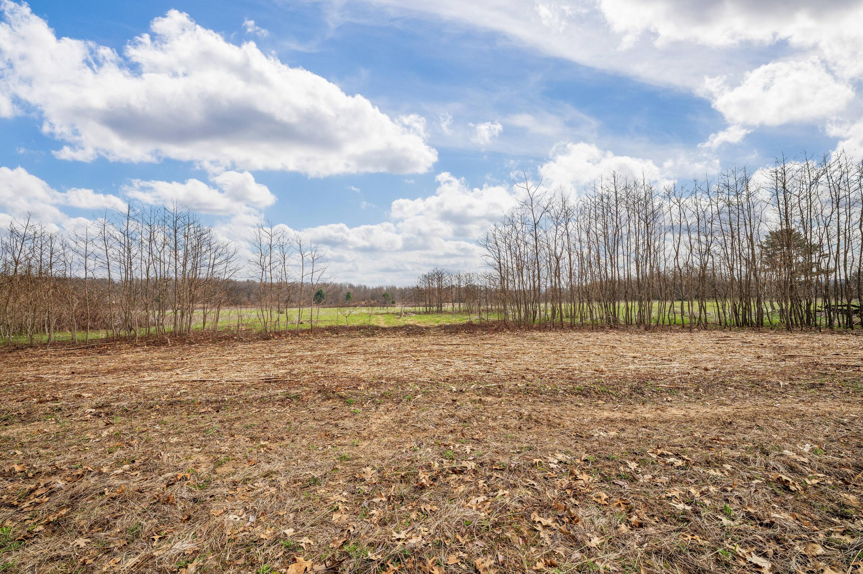 41820 County Road 352 Decatur, MI 49045 - Photo 4 of 28 02DSC_9514