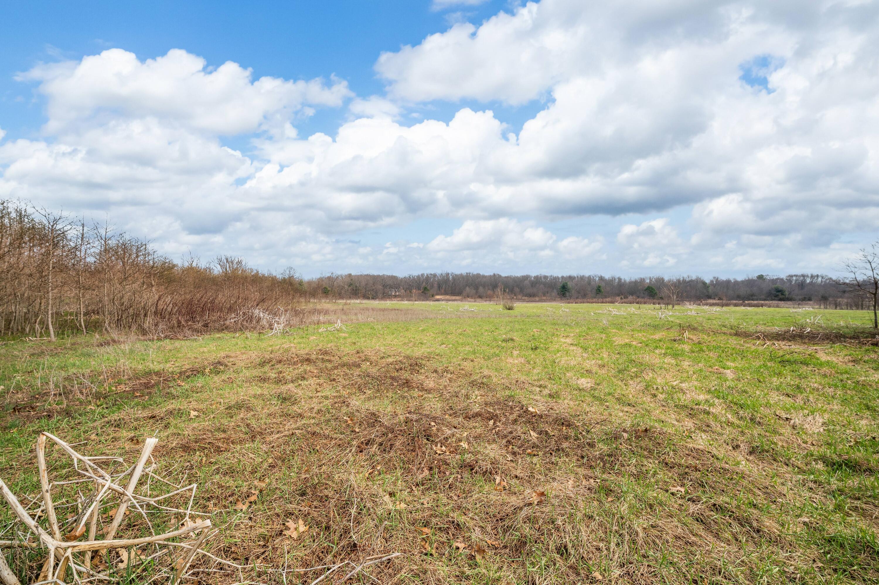 41820 County Road 352 Decatur, MI 49045 - Photo 5 of 28 03DSC_9517