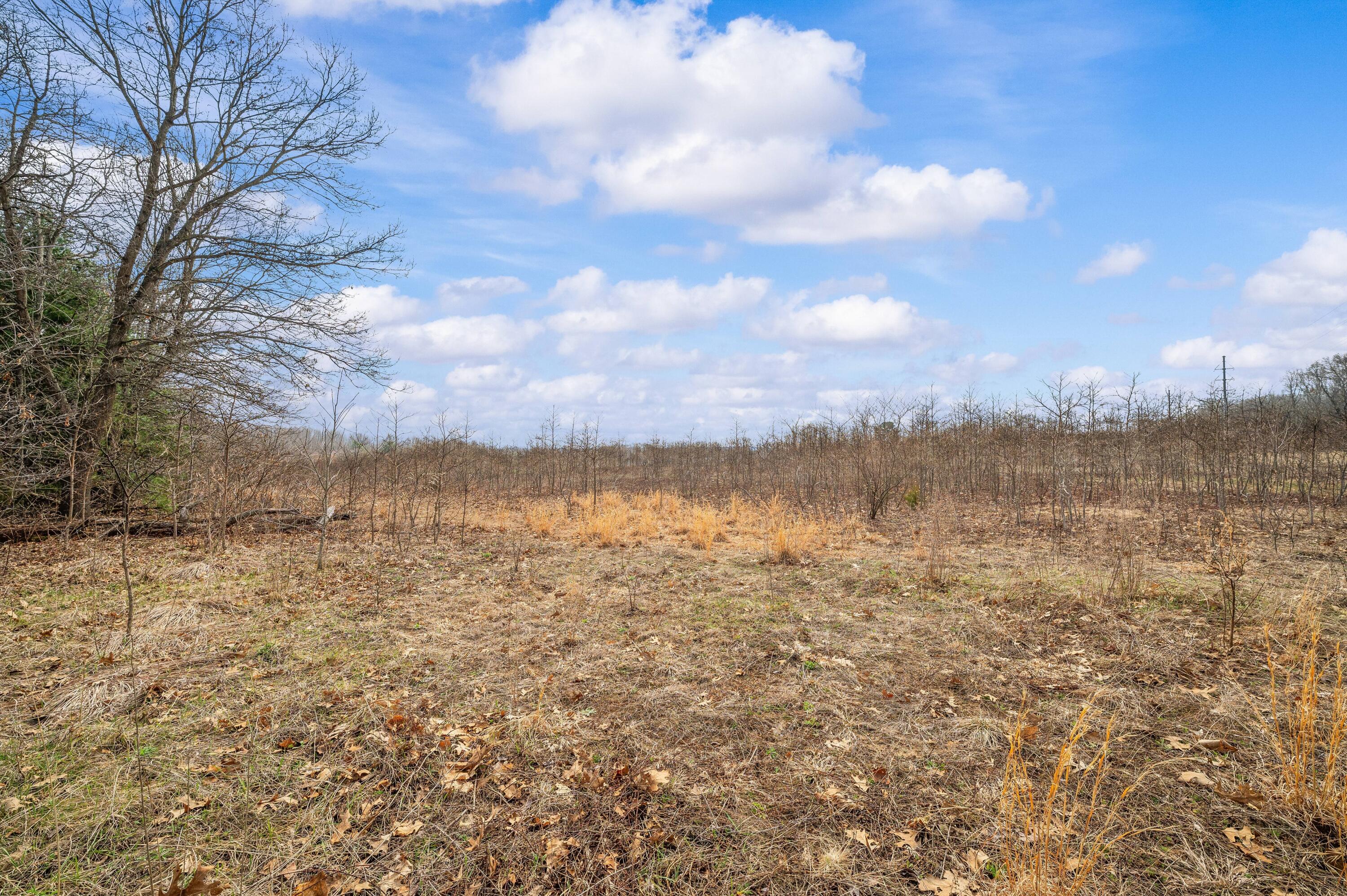 41820 County Road 352 Decatur, MI 49045 - Photo 6 of 28 04DSC_9523