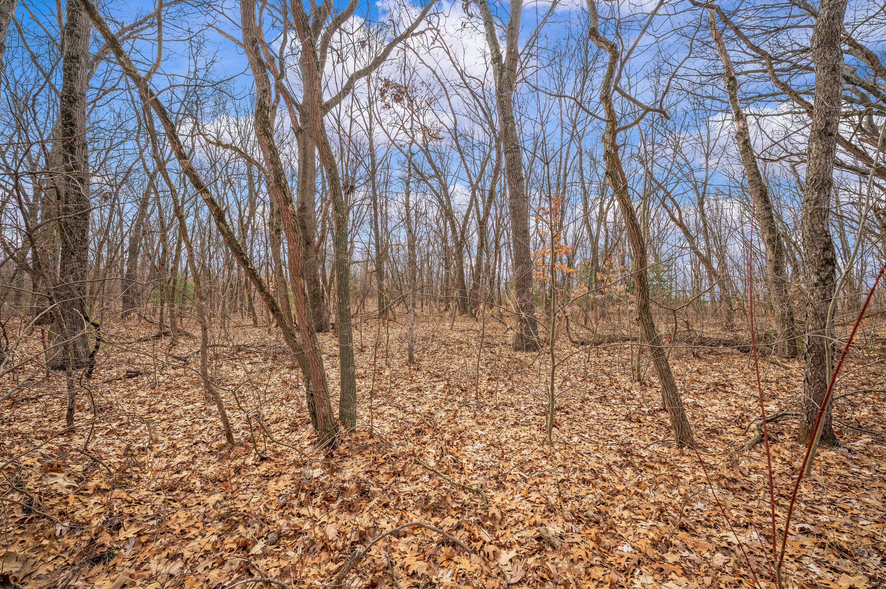 41820 County Road 352 Decatur, MI 49045 - Photo 7 of 28 05DSC_9529