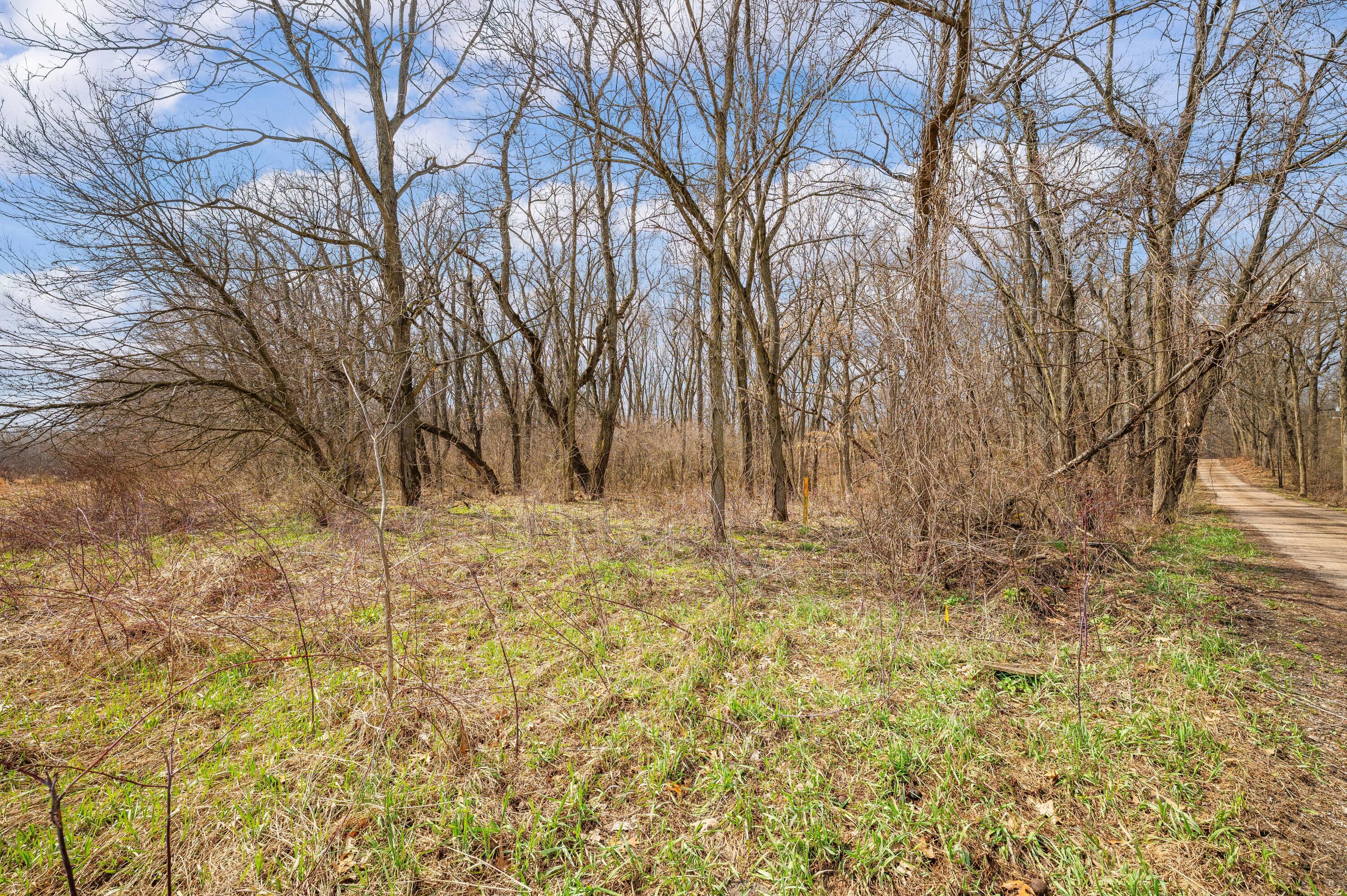 41820 County Road 352 Decatur, MI 49045 - Photo 8 of 28 06DSC_9535