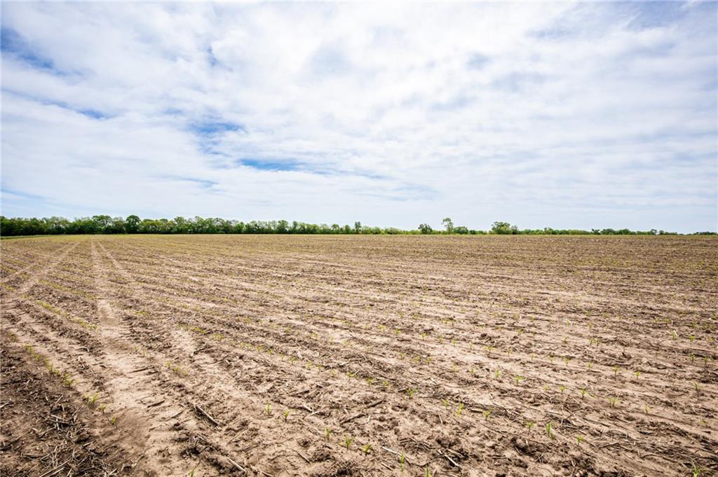 1051 Eisenhower Road Princeton, KS 66078 - Photo 14 of 99