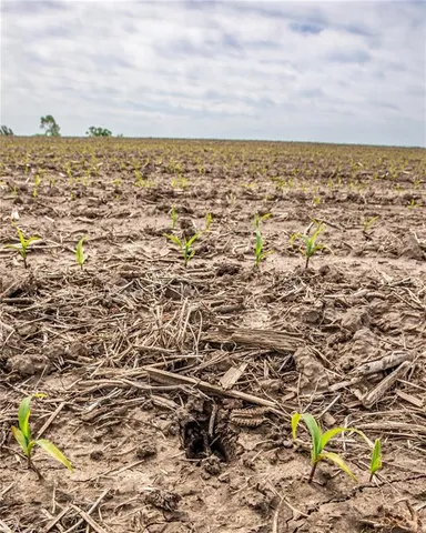 $1,331,000 | 1051 Eisenhower Road, Princeton, KS 66078