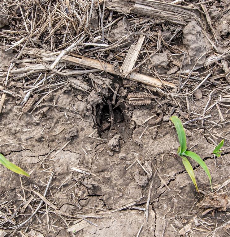 1051 Eisenhower Road Princeton, KS 66078 - Photo 16 of 99