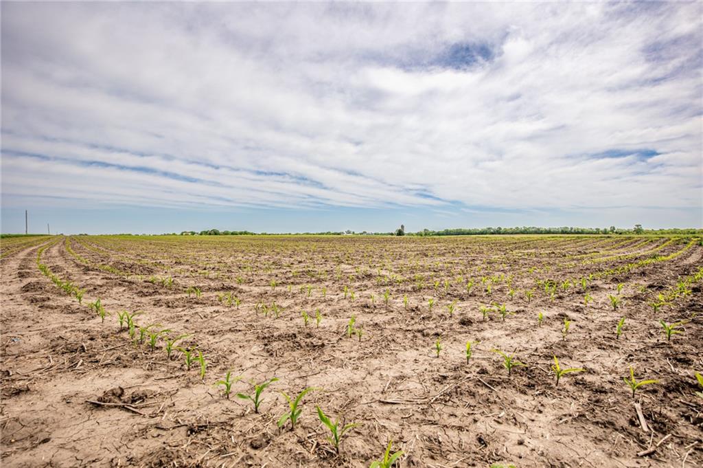 1051 Eisenhower Road Princeton, KS 66078 - Photo 2 of 99