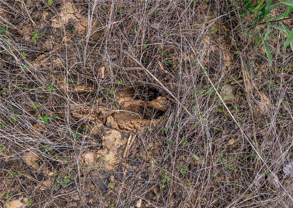 1051 Eisenhower Road Princeton, KS 66078 - Photo 28 of 99