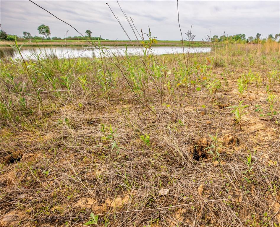 1051 Eisenhower Road Princeton, KS 66078 - Photo 29 of 99