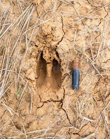 $1,331,000 | 1051 Eisenhower Road, Princeton, KS 66078