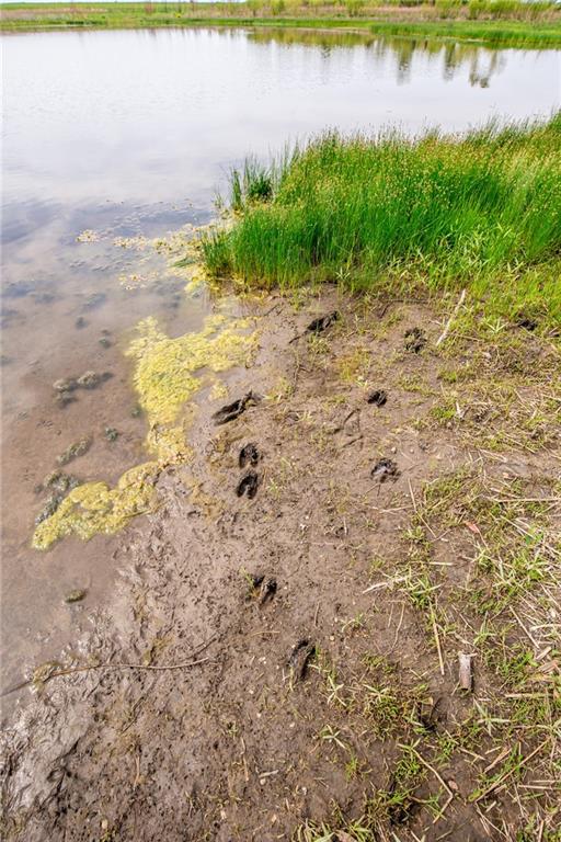 1051 Eisenhower Road Princeton, KS 66078 - Photo 39 of 99