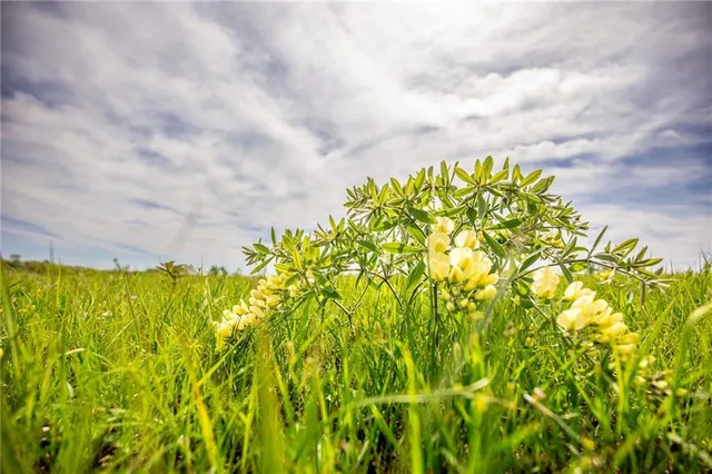 $1,331,000 | 1051 Eisenhower Road, Princeton, KS 66078