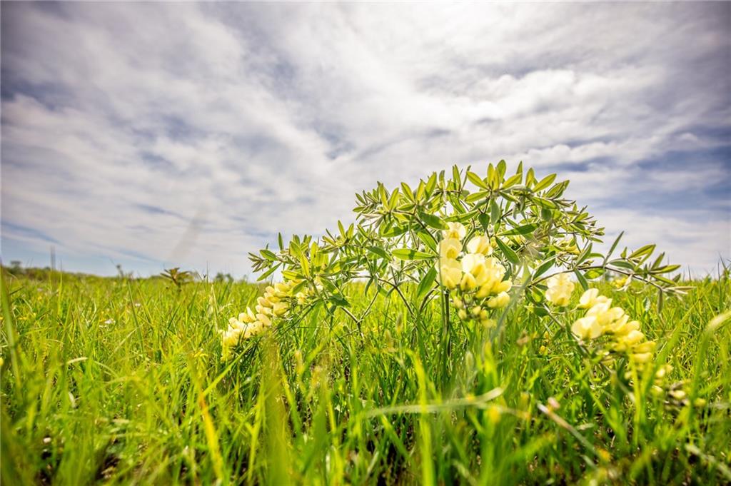 1051 Eisenhower Road Princeton, KS 66078 - Photo 49 of 99