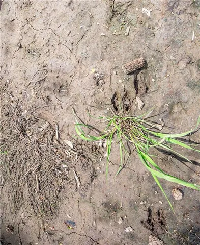 $1,331,000 | 1051 Eisenhower Road, Princeton, KS 66078