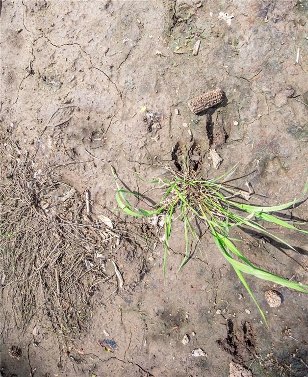 1051 Eisenhower Road Princeton, KS 66078 - Photo 64 of 99